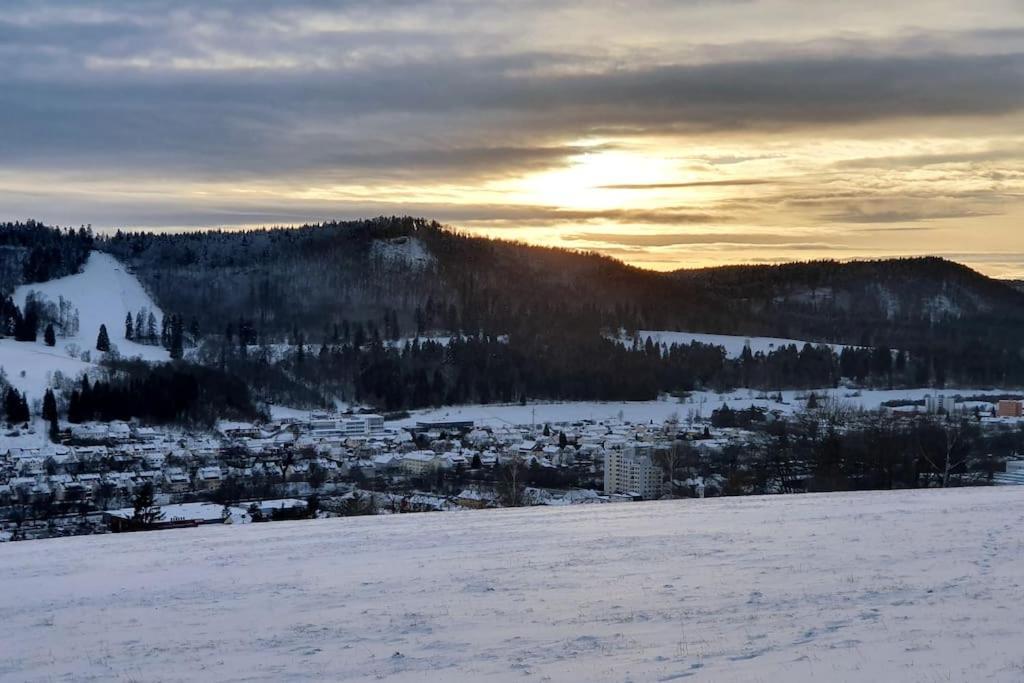 Studiowohnung Schwabenalb Mit Panoramablick Albstadt Esterno foto